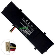 PDA 10Buckles-10Lines 456484-3s-1 asenduspatarei
