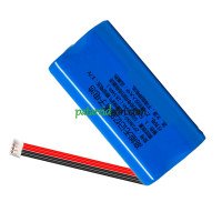 PLC 2P18650 asenduspatarei