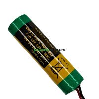 PLC 56653-201-012 LIC18650-26SKE asenduspatarei