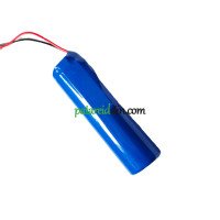 PLC W18650-2200NCM 93837-001 asenduspatarei