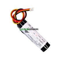 PLC Z1 TY18650 asenduspatarei