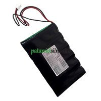 Asenduspatarei Bionet 032PPTC 31CR19/65-2 BM7 jaoks