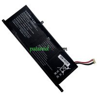 Asenduspatarei PDA 10 Pandlad-8Lines 5074116PV-3S1P jaoks