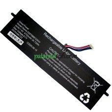 Asenduspatarei PDA 10 Pandlad-9Lines GSP3866123HV jaoks