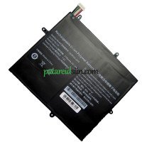 Asenduspatarei PDA 10Lines 2679125-2S1P jaoks