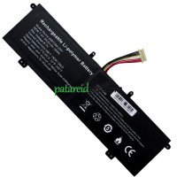 Asenduspatarei PDA 11 Pandlad-10Lines 4567250-2SP jaoks