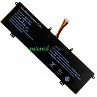 Asenduspatarei PhilBookile 4663117-2S2P Y13
