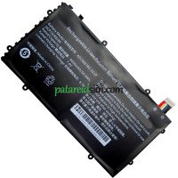 PDA 10Lines AEC968780-2S1P asenduspatarei