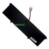 PDA 12Buckles-10Lines AEC5067126 asenduspatarei