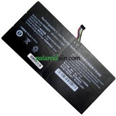 PDA 8Lines AEC3058115-2S2P asenduspatarei