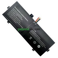 PDA NV-3379107-2S NV-4578107-2S asenduspatarei
