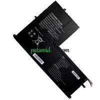 PDA UTL3175157-2S asenduspatarei